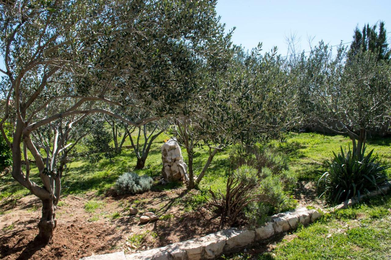 Apartman Sunset Ražanac Εξωτερικό φωτογραφία